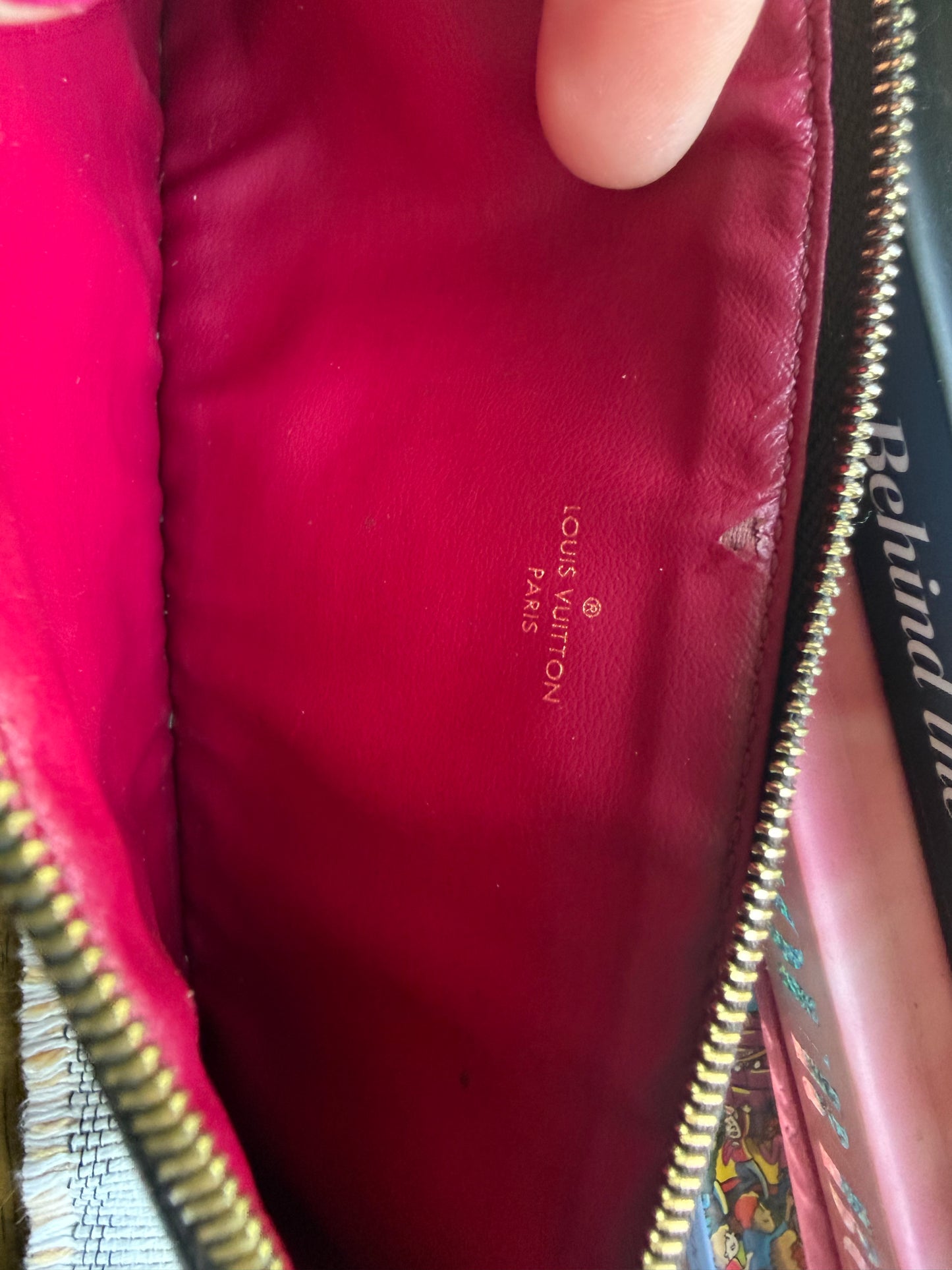 Authentic Preloved Reimagined Felicie Pochette Zippy Insert