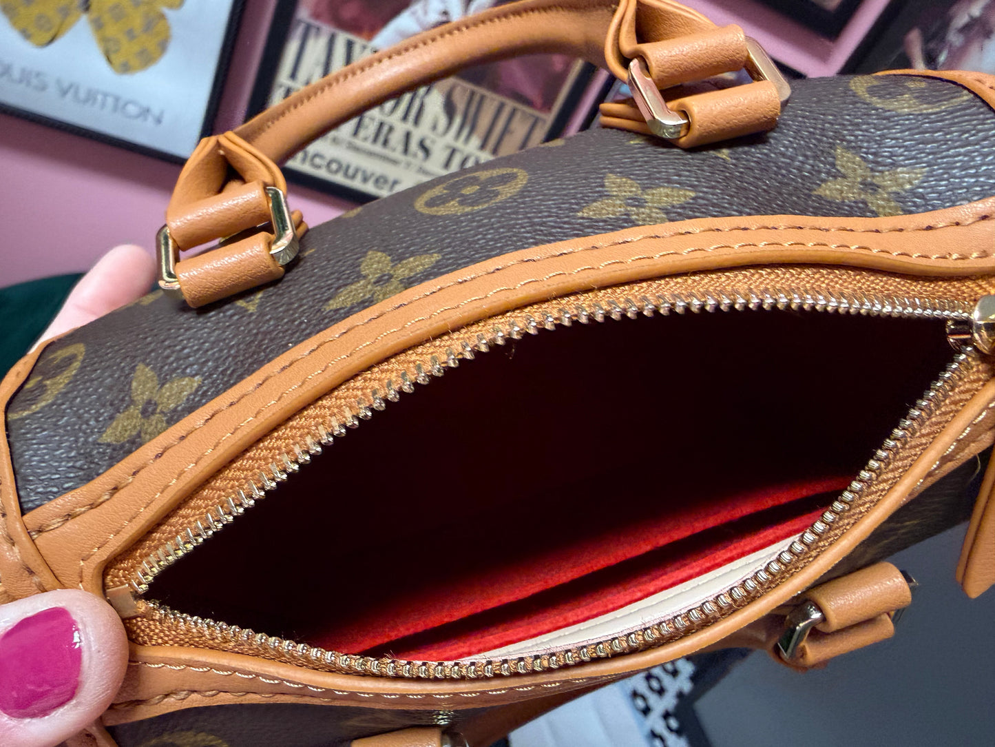 Organizer for DEBUT bag