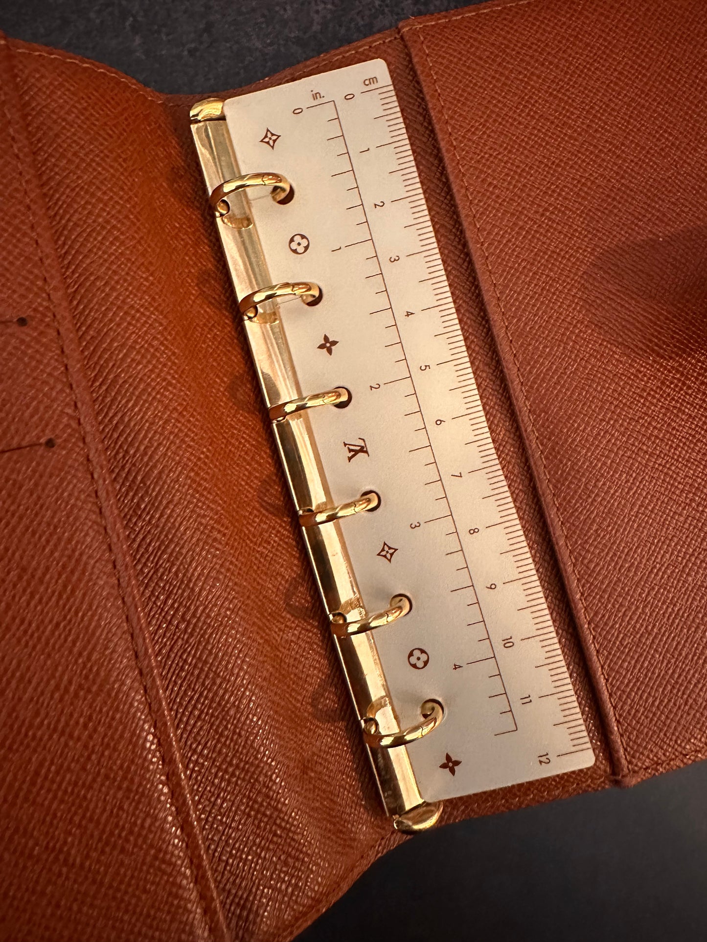 Authentic Vintage LV Mono Agenda PM