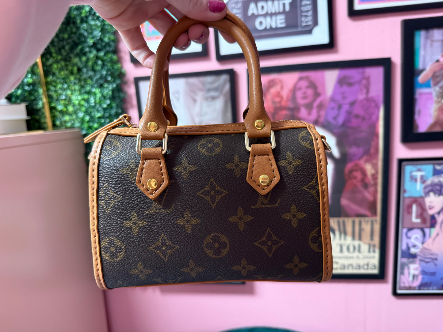 Organizer for DEBUT bag