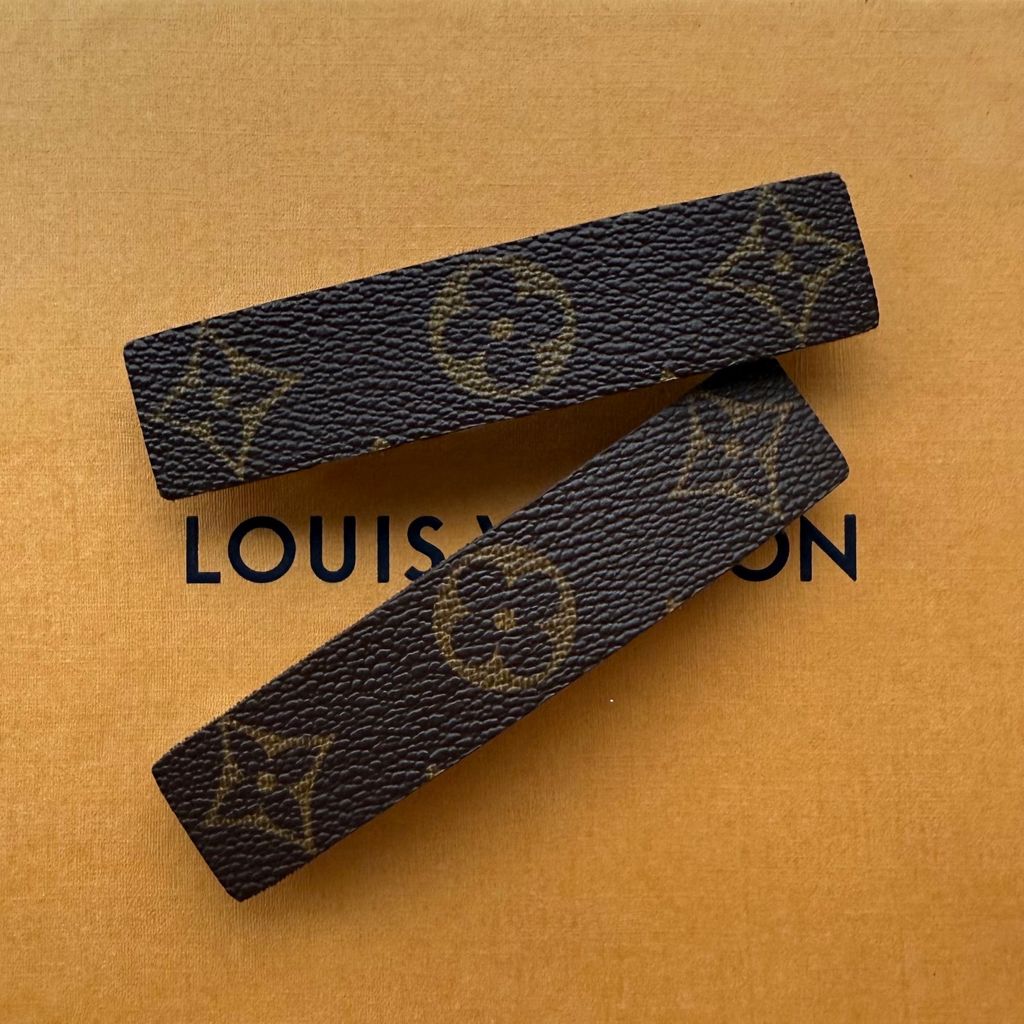 GORGEOUS Large Mono Barrette