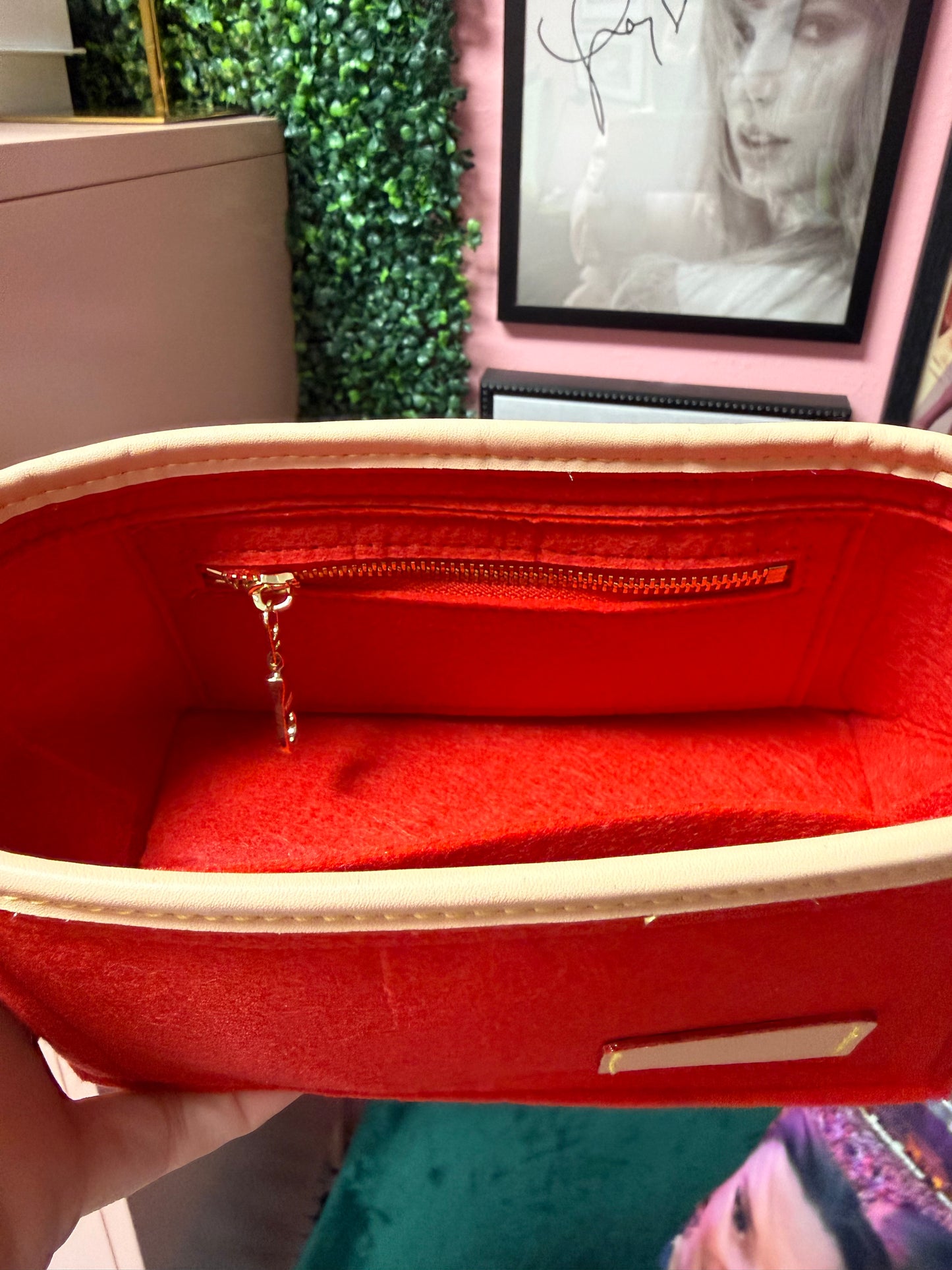 Organizer for DEBUT bag